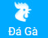 saobet